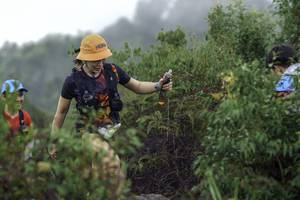 BIB: 
                            <button type="button" onclick="openModal(24741856)" class="btn btn-primary btn-sm float-right btn-popup" data-toggle="modal" data-target=".modal-high-quality">
                        <i class="fas fa-shopping-cart"></i> Add to Cart
                    </button>
                                            <button type="button" onclick="isThisMe(24741856, true)" class="btn btn-success btn-sm float-right btn-popup btn-isme hidden" data-toggle="tooltip" data-placement="bottom" title="นี่คือรูปของคุณใช่ไหม คลิกที่นี่เพื่อเอาเข้าอัลบั้ม">
                        <i class="fas fa-plus"></i> Add to album
                    </button>
                    <button type="button" onclick="isThisMe(24741856, false)" class="btn btn-warning btn-sm float-right btn-popup btn-isnotme hidden">
                        <i class="fas fa-ban"></i> Remove from album
                    </button>